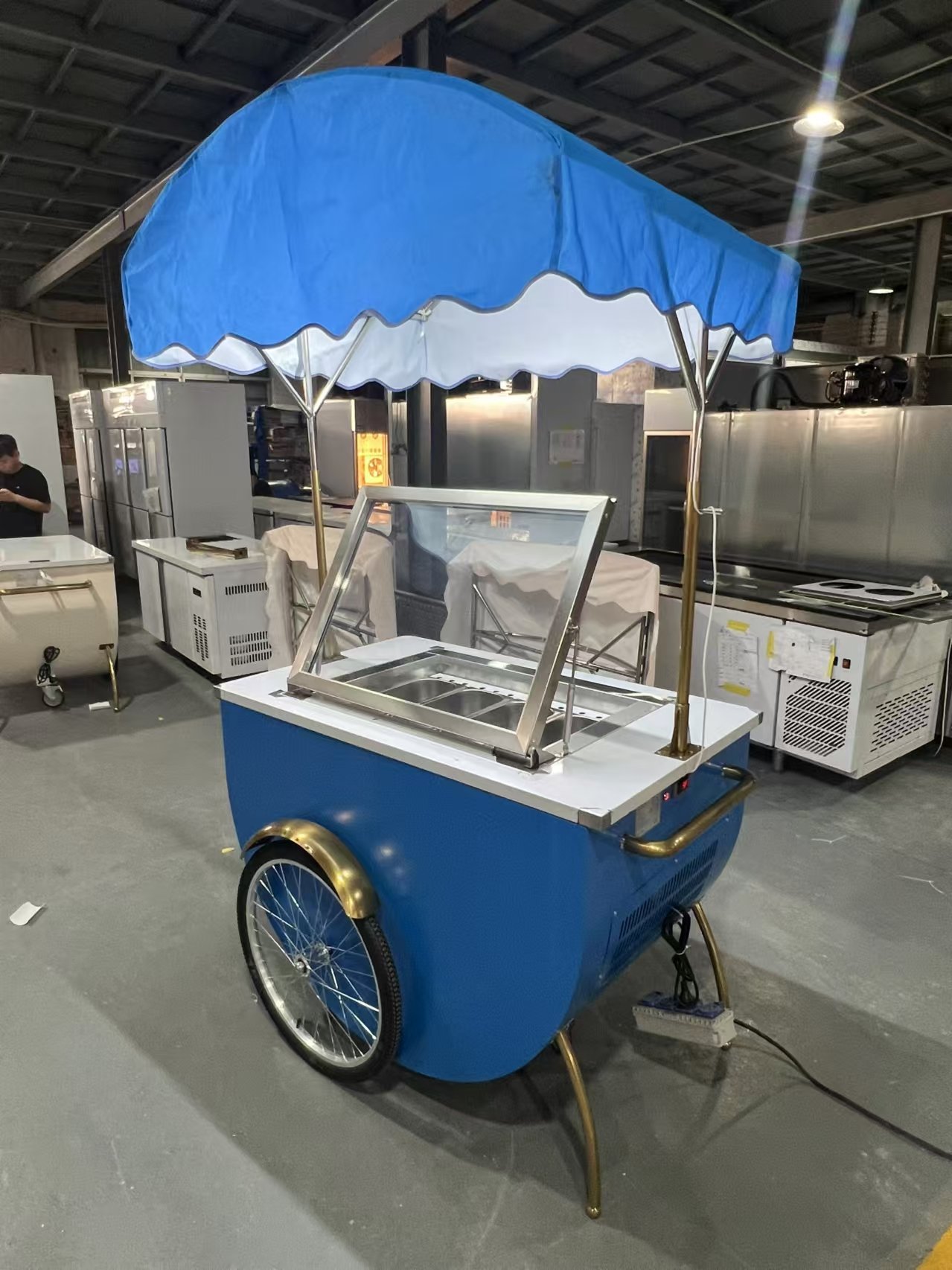 T5-1200 Ice cream Carts